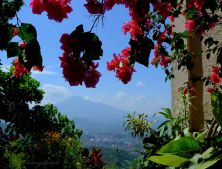 one sunny day in sumedang.jpg